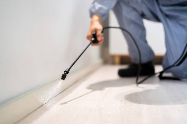 Licensed Pest Control service in Fritch, TX - Show Me Pest Control