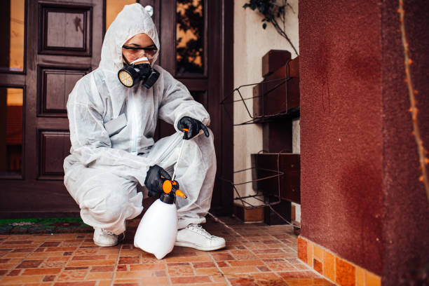 Attic and Crawl Space Rodent Treatment in Fritch